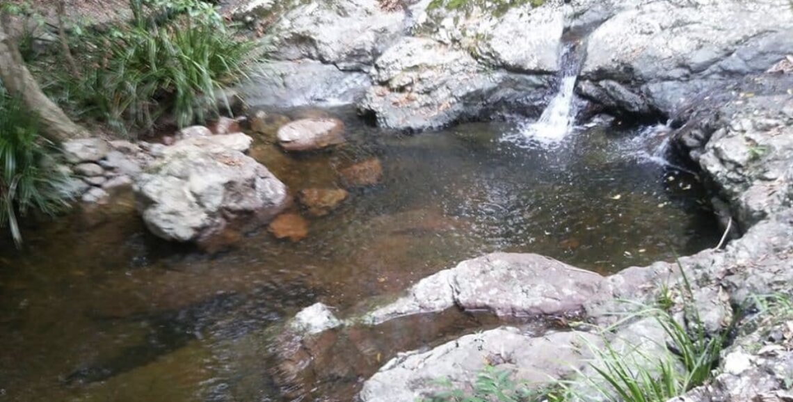 Raining In The Rainforest