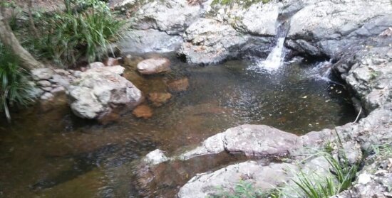 Raining In The Rainforest