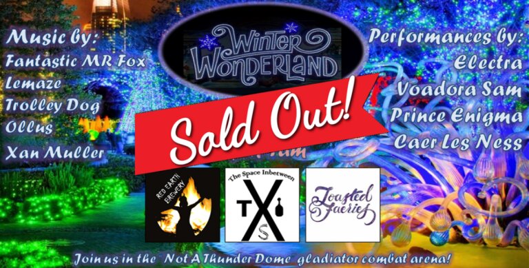 Winter Wonderland Burner Ball 2019 Sydney